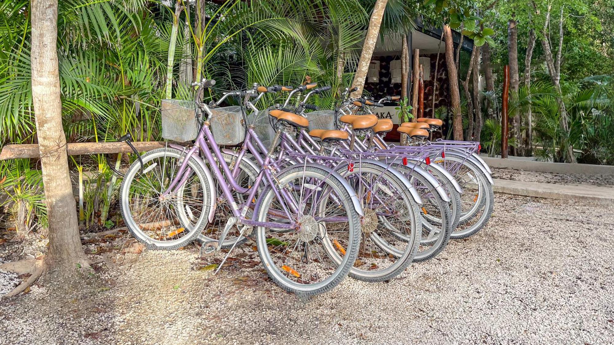 Amaka Calma Tulum Hotel Exterior photo